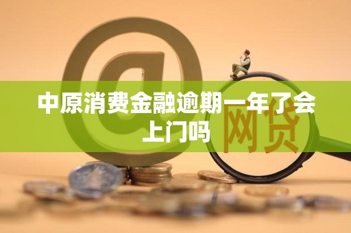 中原消費(fèi)金融逾期一年 上門催收的可能性與應(yīng)對(duì)策略